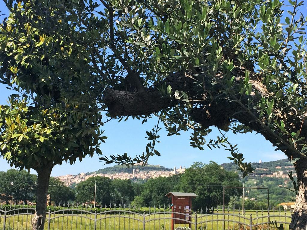 Residenza Il Rivo Rivotorto